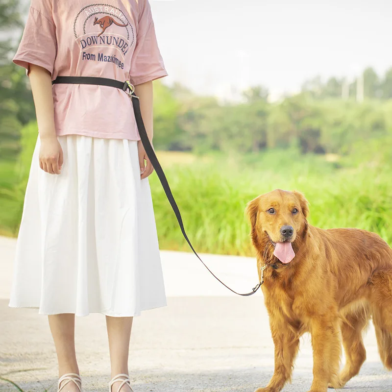 Товары для домашних животных поводок собак с двойным крюком бега