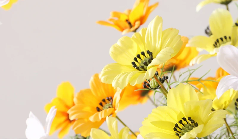 27fcf549-a201-4aec-8ae2-b8e127e10843