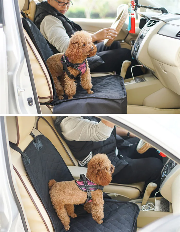 10377071624_936468010