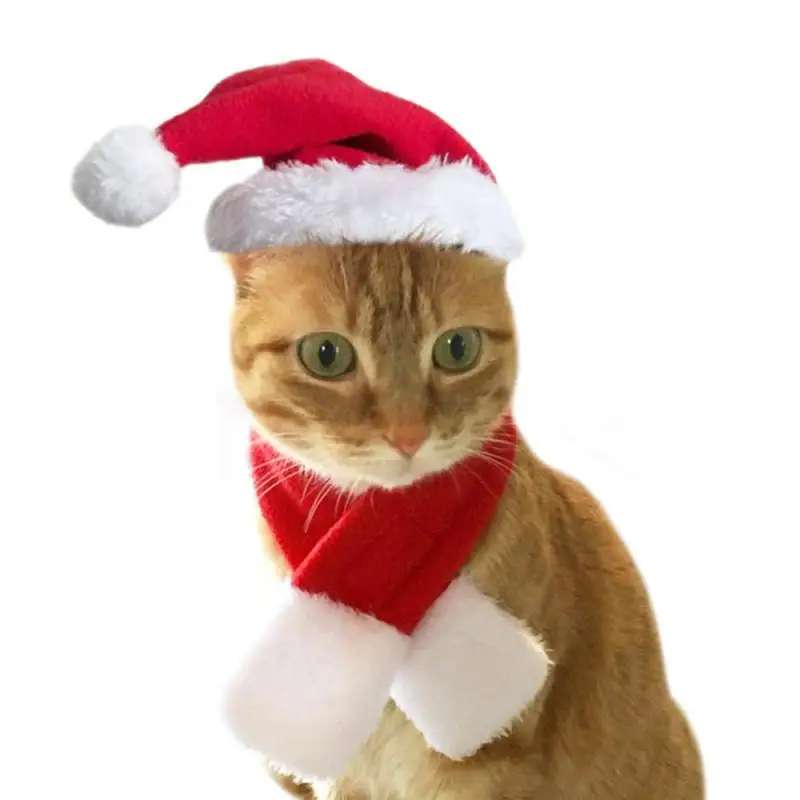 Новинка, шарф для щенка, кошки, собаки, шапка, накидка, повязка на голову, Рождественская одежда, костюмы, подарок на год, Санта, красный костюм для питомца, зимняя одежда