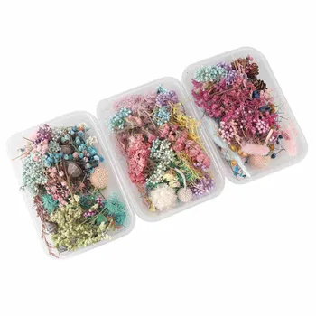 

2 Pcs/Set Mix Dried Flower Dry Plant For Epoxy Aromatherapy Candle Resin Pendant DIY Accessories Necklace Jewelry Making Craft