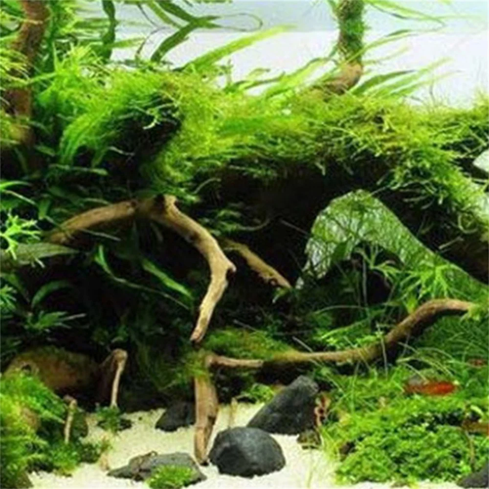 2PCS Wood Natural Tree Trunk Driftwood Aquarium Fish Tank Plant Decoration Ornament