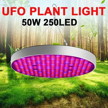 

Plants Growth Light Plant Lamp Led Grow Light Flower Vegetables Full Spectrum Hydroponic Indoor Red Blue 50W 250LED