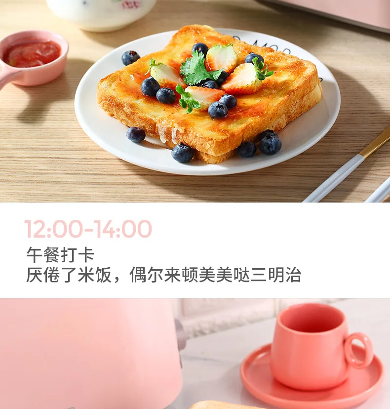 Donlim/DF DL-1701 Toaster Household 2 PCs Breakfast Stainless Steel Roast Toaster