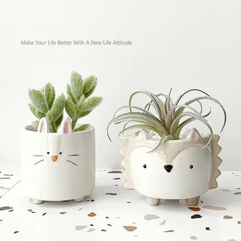 

Ins Cute Succulents Flower Pot Bonsai Vase Ceramic Pots for Plants Planter Set of Four Sets Creative Personality Gift