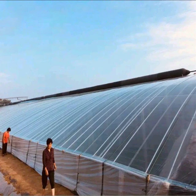 Kertészkedés Védő Növények Átlátszó Zöldség Üvegházhatású Mezőgazdasági Termesztés Műanyag Ptotection Borítófilm Kerti Ültetés