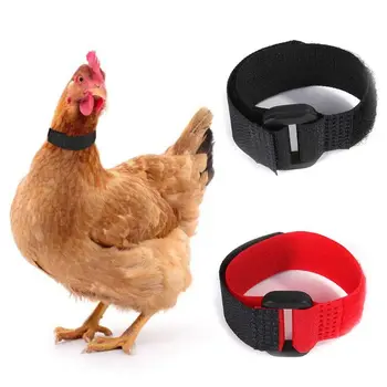 

6 Pcs Adjustable Chicken Collars Durable Anti-Hook Noise Free Neckband for Poultry Hen Duck Goose Rooster