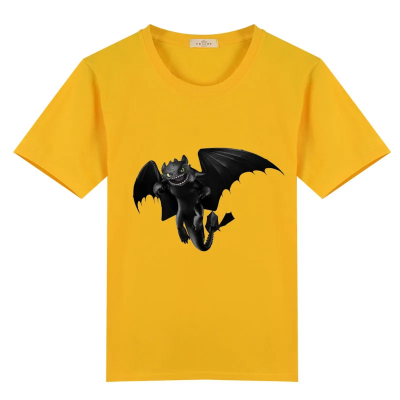 Ночная Фурия, летняя футболка для мальчиков, футболка с принтом «Как приручить дракона» для мальчиков и девочек, детская одежда - Цвет: 5