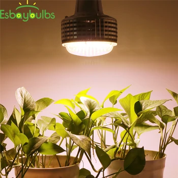 

300W E27 LED Grow Light Indoor Plant Lamp Flowering Hydroponics System Growing Lamp LED Grow Light Greenhouse Flower Fruits