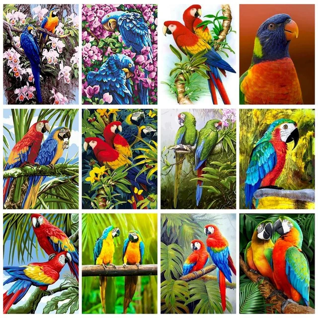 Paints by numbers Parrot with red head macaw picture painting coloring kits  for adults wedding gift hoom decor - AliExpress