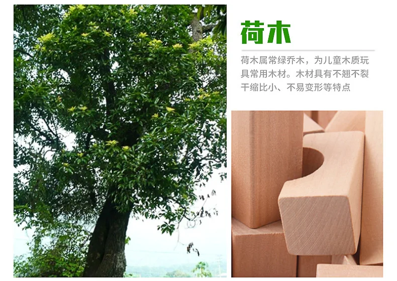 7280899851_130380003