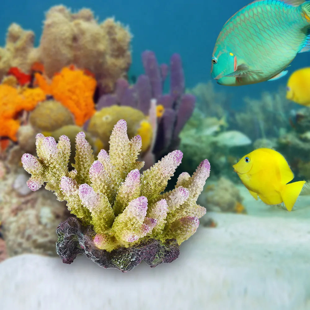 Камни живые real reef rock. Аквариум кораллы нейросеть. Корал эстетика. Мягкий риф морской аквариум. Коралловый риф в аквариуме псевдоморе.