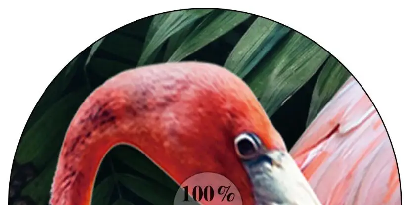 QQ截图20200331140939