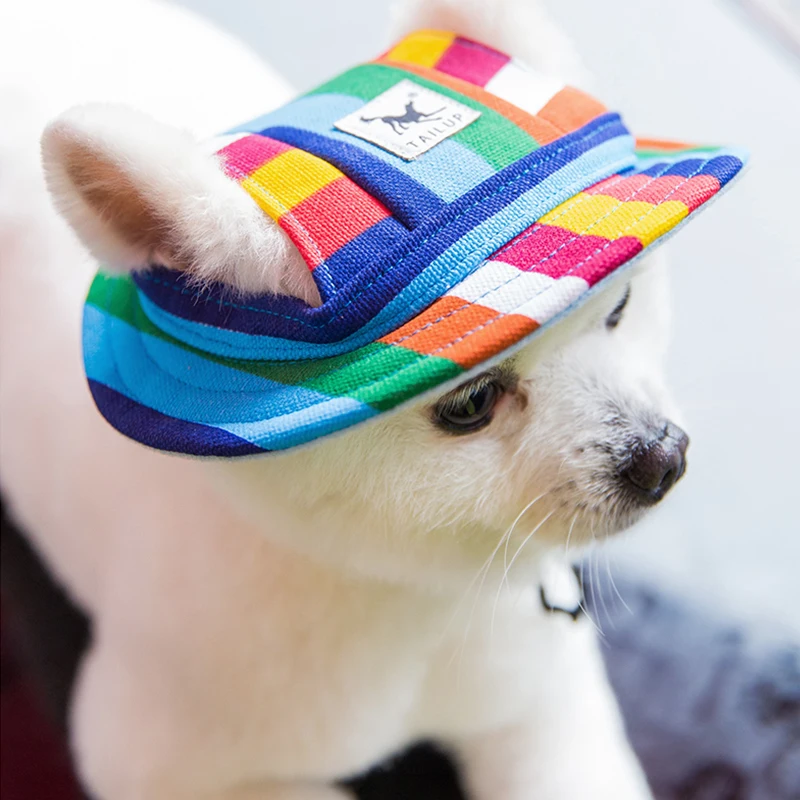 Dog Cap With Ear Holes for Small Dogs Canvas