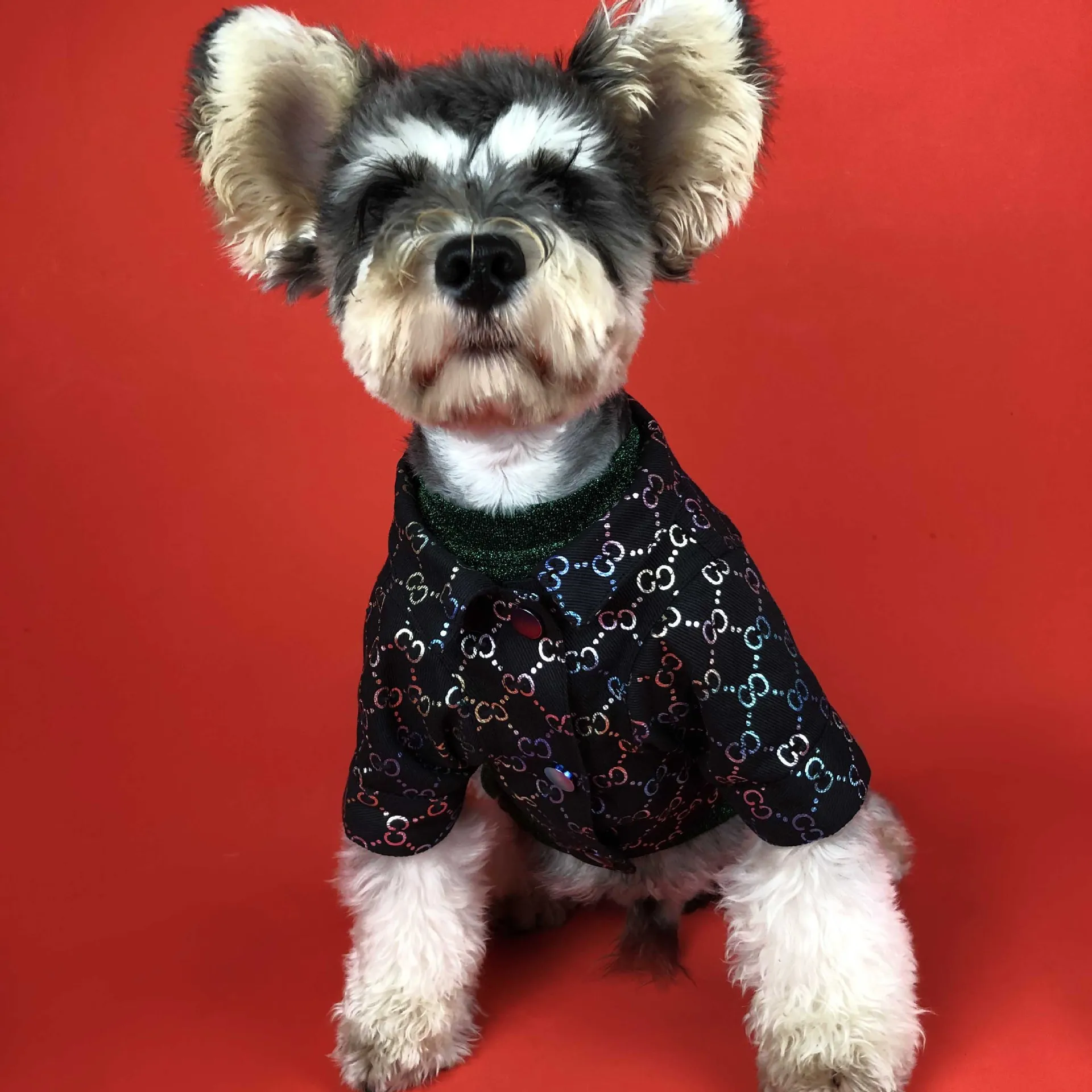 

Designer Small Dog Clothes Jacket Denim Coat High Quality Black Dog Sweater Clothes Poodle Bulldog Yorkshire Clothes