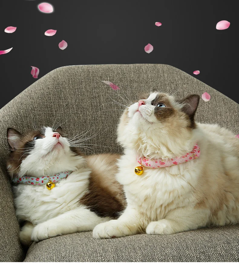 Pet регулируемые ошейники для собак домашних животных ошейники с колокольчиками Шарм Цепочки и ожерелья воротник для щенков, собак, ошейники для кошек товары для домашних животных, собаки аксессуары