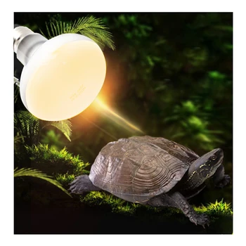 

Box Warmer Light Bulbs Far-Infrared Ceramic Temperature Control Product Tortoise Lizard Spider Reptile Pet Heating Lamp#15