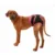 MICATALE Hot Female Dog Shorts Puppy Physological Pants Dog Diaper Pet Underwear Моющиеся Трусы Для Маленьких Meidium Girl Dogs