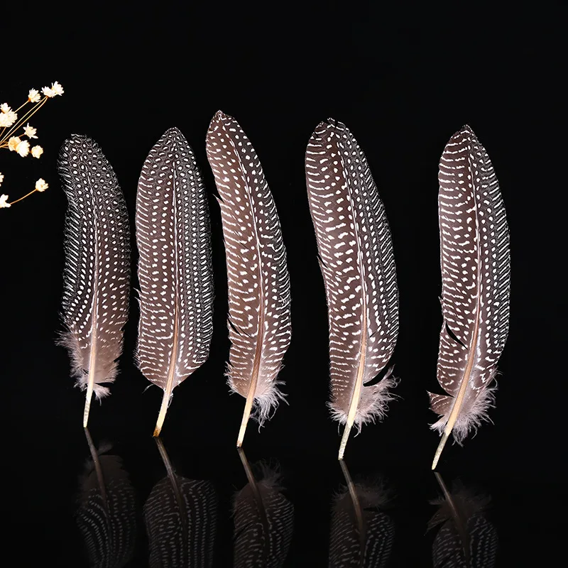 10Pcs Spotted Guinea fowl feathers 15-20 CM/6-8 inches Natural Pheasant Feather DIY Craft Home Party Decoration Plumes Accessory | Дом и сад