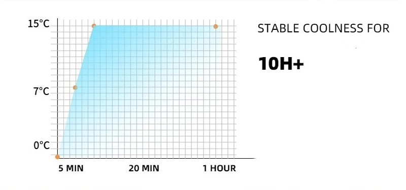 5L Mini Fridge Portable Storage Refrigerator With Led Light Mirror Cooler Home Car Use