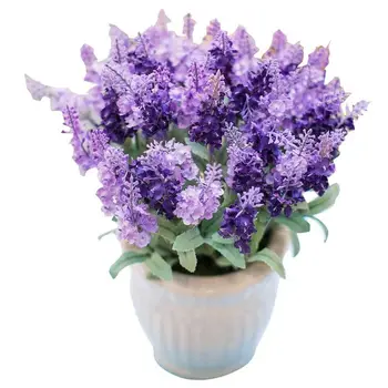

500 Seeds Lavender Seeds Four Season Sowing Potted Lavender Herb Seed Flower Seed Flower Seed Flower Flower Seed