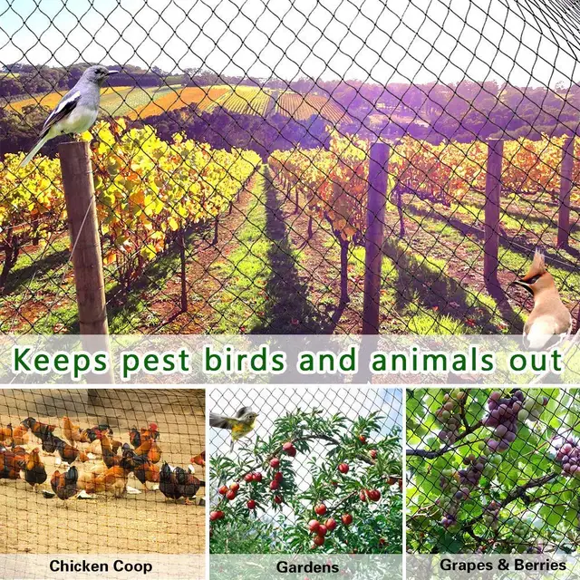 Heavy Anti Bird Netting Net Garden Fence and Crops Protective Fencing Mesh Anti Bird Deer Cat Dog Chicken Net  Fishing Net 2