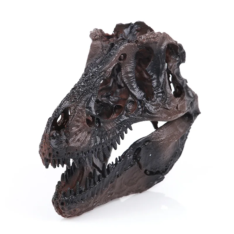 

High Simulation Tyrannosaurus Rex Dinosaur Skull Handicrafts Resin Fossil Simulation Dinosaur Skull Model for Collectibles
