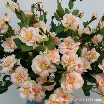

High-quality Imitation Single Stem 7 Head Iceberg China Rose Hat Headdress Bag Flower Delivery Mini Rose Imitation Flowers Handm