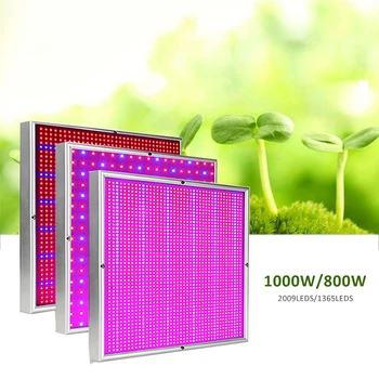 

LED Grow Light 1000W 800W 500W Phyto Lamp For Plants Indoor Full Spectrum Led Aquarium Flowers High Power Grow Tent Lights