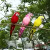 1PC Handmade Foam Feather Artificial Parrot Imitation Bird Model Figurine Foam Birds Parrot Home Garden Decoration Ornament ► Photo 3/6