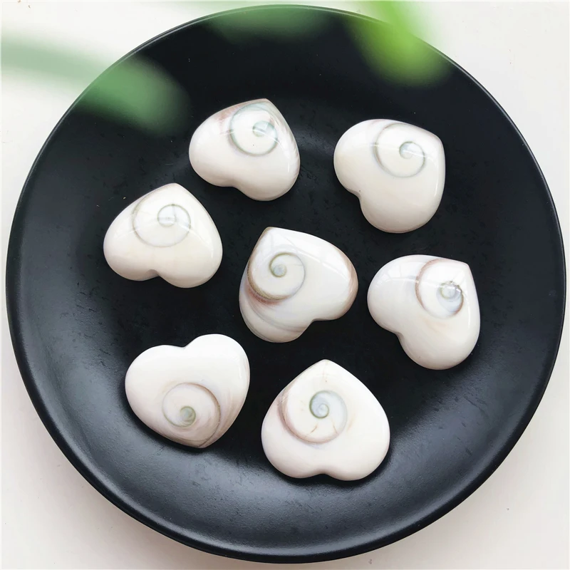 2 шт. натуральные ископаемые солнцезащитные ракушки|Камни| |