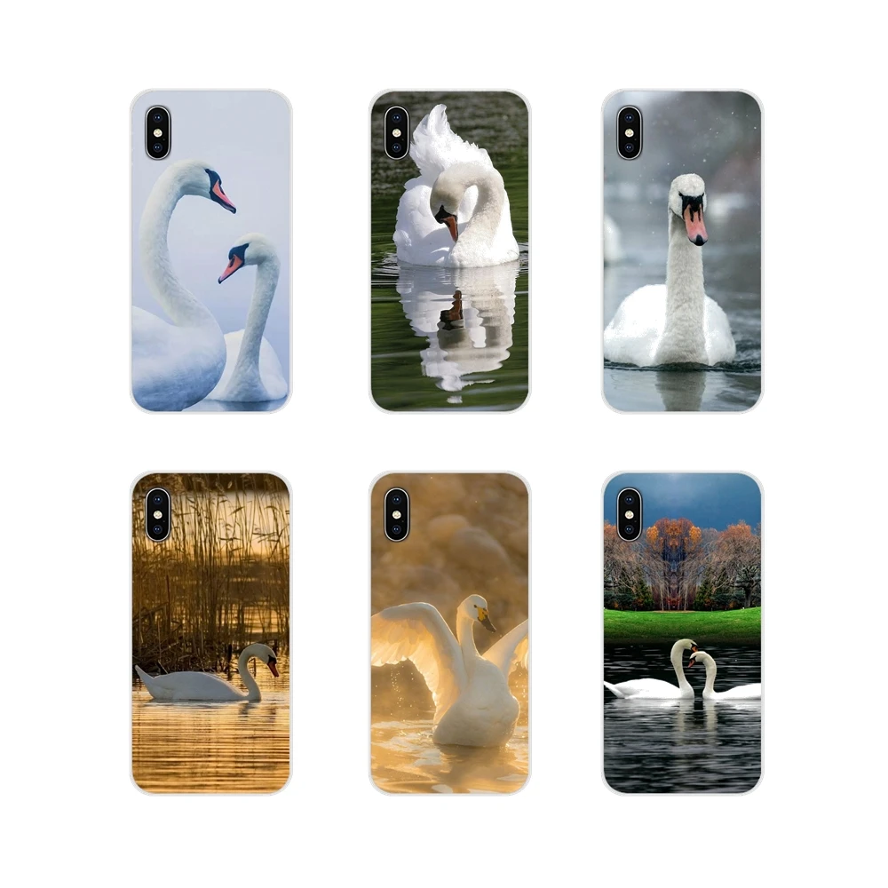 Аксессуары чехлы для телефонов Apple iPhone X XR XS 11Pro MAX 4S 5C SE 6S 7 8 Plus ipod touch 5 6 Милые Лебеди