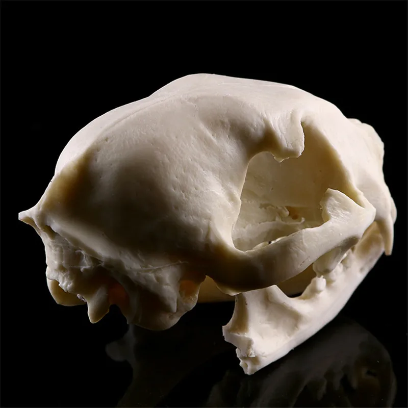 2916842751_509990420
