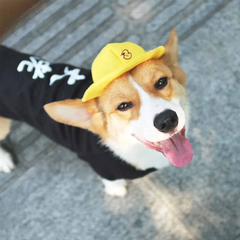 Yellow Little Duck Dog Hat Summer Puppy Sun Pet Photo Cute Diameter 14 cm | Дом и сад