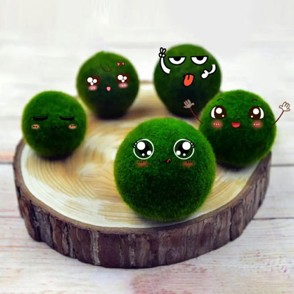 

Aquarium Moss Aquarium Alive Live Fishes Plants Aquaristics Shrimp Aquarium Moss Ball Water Grass Shrimp Water Grass Balls