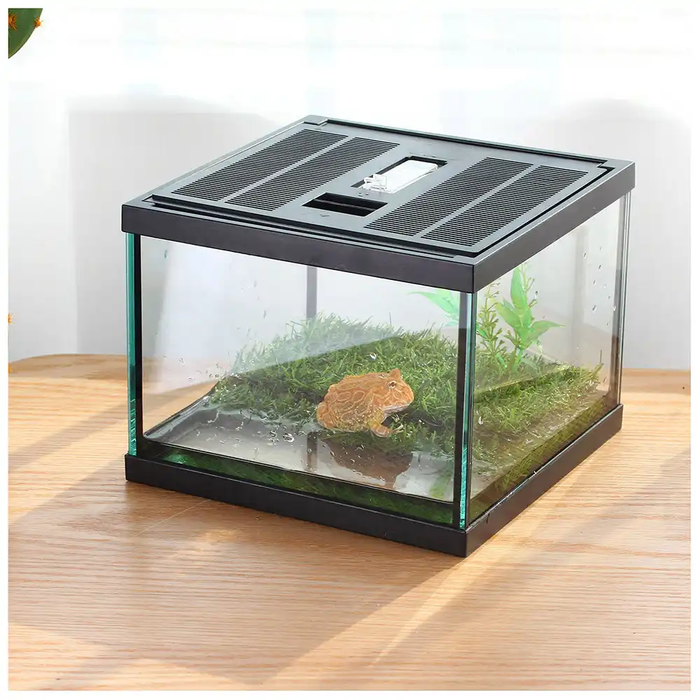 Geヤモリ生息地亀水族館カタツムリ容器魚ボウルヤドカリ家クモ容器タランチュラ昆虫 Terrariums Aliexpress