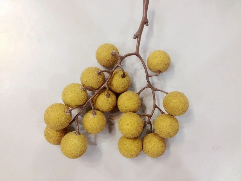 fruit toy The Model Of Longan Fruit False Simulation Play Toys And Vegetable Food Home Decorations Unisex Finished Goods Plastic