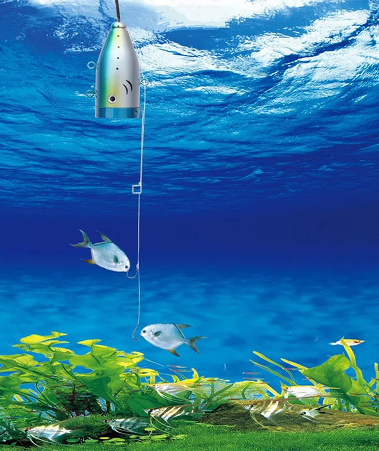 微信图片_20200606104613