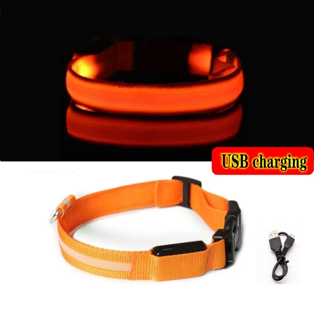 USB charging LED dog light pet dog collar anti-lost at night/avoid cat and dog puppies car accident flashing luminous collar Orange USB charging