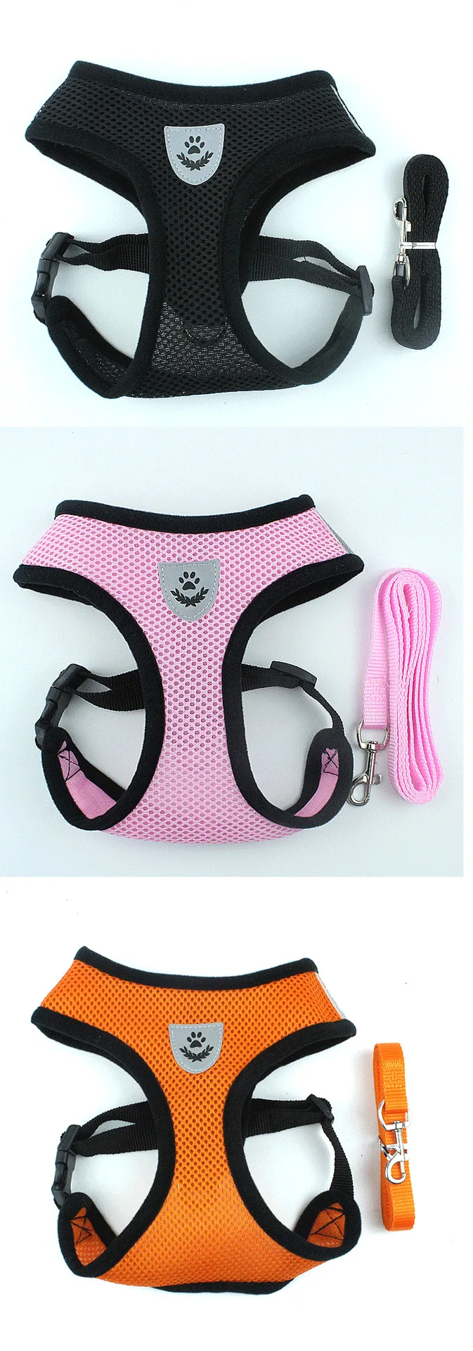 8825545937_609020808