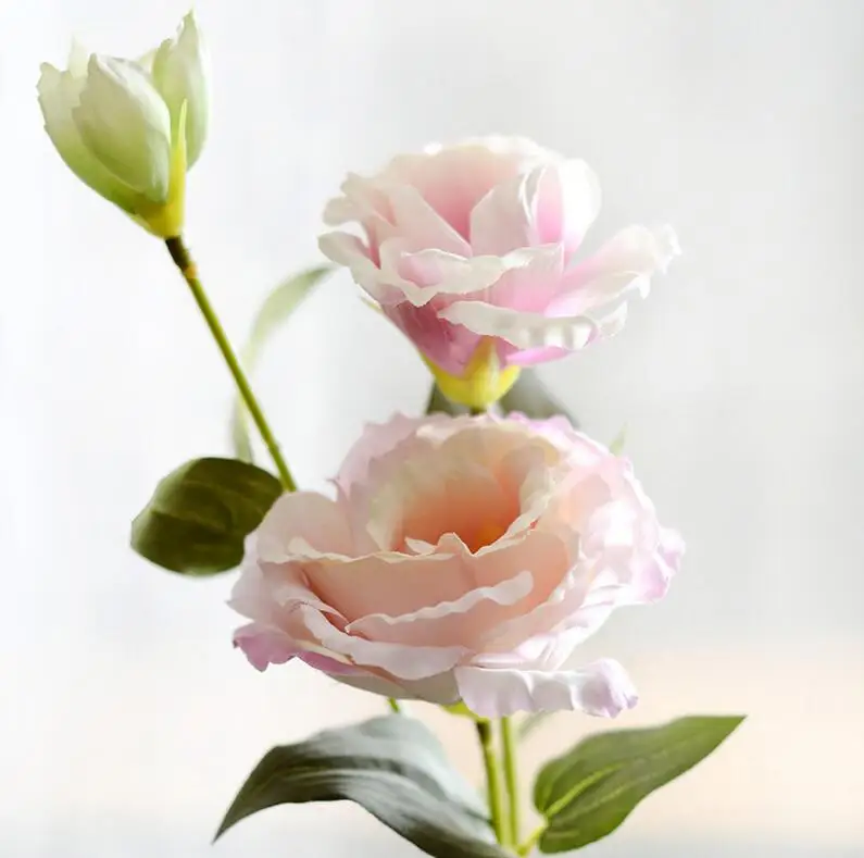 6 шт./лот, европейские искусственные цветы, 3 головки, Эустома, Шелковый цветок, поддельные Gradiflorus, Lisianthus, осень, свадьба, украшение для дома - Цвет: Розовый