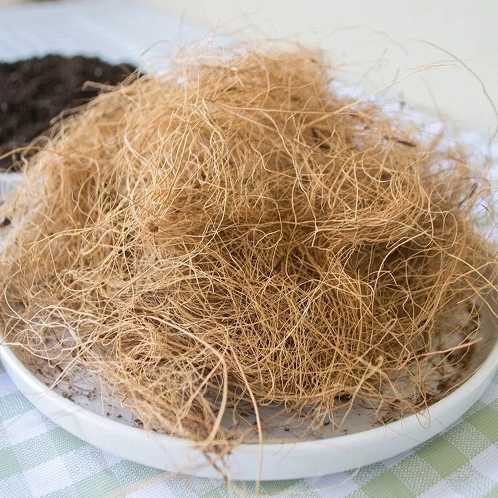 Практичное зеленое растение кокосовое домашнее стерилизованное кокосовое волокно садовая почва птичьи гнезда горшки хорошая проницаемость маленький питомец бонсай