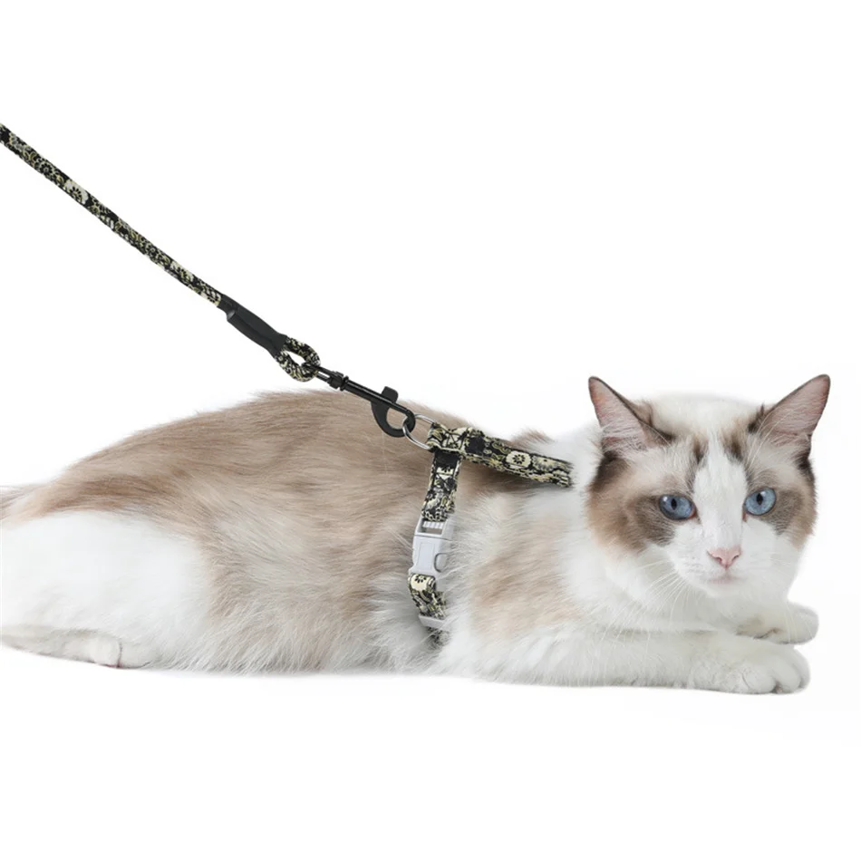 cat walking leash harness