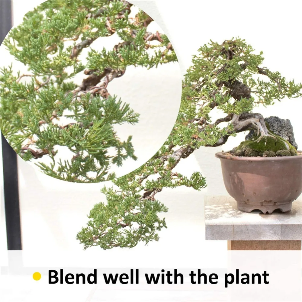 7ad9a41fdecdb51ee89dd0aa8fa199ae