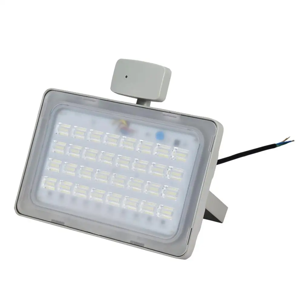 

New Induction Light 100W Cold White IP 65 Waterproof Motion Sensor Flood Light Induction Sensor For Basketball Court Courtyard