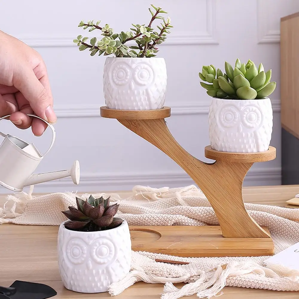 

Hot Sale Simple white creative succulent ceramic owl with treetop bamboo frame combination potted flowerpot macetas 40P