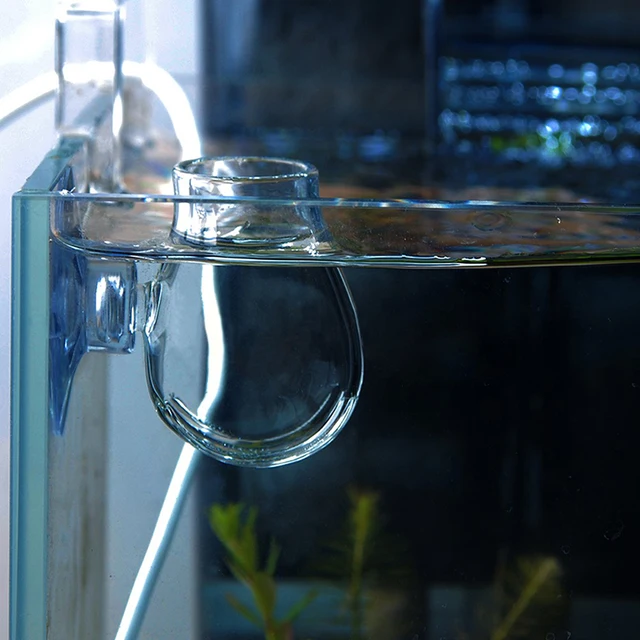 Glass Feeding Cup Fish Tank Feeder Brine Shrimp Eggs Red Worms Food For Aquarium 3