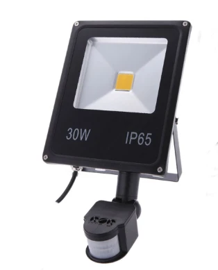 10W20W30W Refletor Светодиодный прожектор поисковая лампа с Pir датчиком движения 220 V Прожектор водонепроницаемый Наружное освещение заводская цена - Испускаемый цвет: sensor