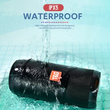 

Portable Bluetooth Speaker Support FM Broadcast Waterproof Subwoofer Portable Bluetooth Mini Speaker TG113C Wireless Speaker