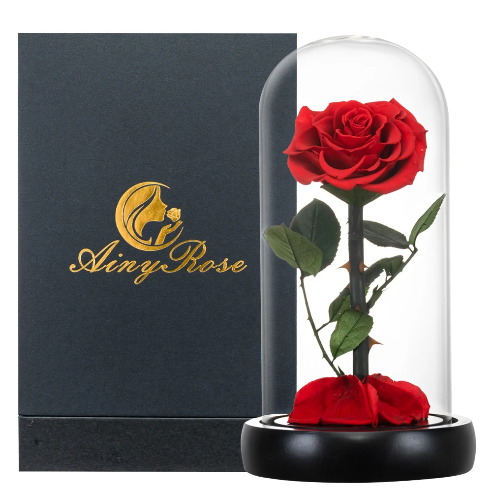 Rose Éternelle La Belle Et La Bête Pour Maman, Cadeau De Fête Des Mères,  Fleur Fraîche - Fleurs Séchées Et Artificielles - AliExpress